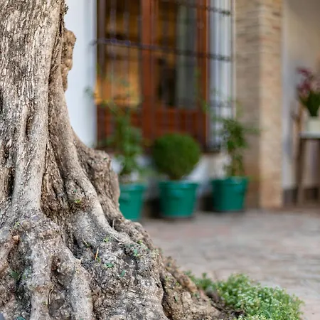 Chezmoihomes Carmen De Apperley Дом отдыха *